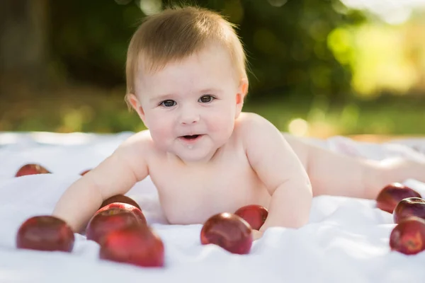 かわいい笑顔6ヶ月古い赤ちゃんがりんごで囲まれた庭でクロール — ストック写真
