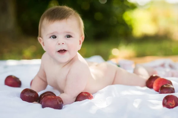 かわいい笑顔6ヶ月古い赤ちゃんがりんごで囲まれた庭でクロール — ストック写真