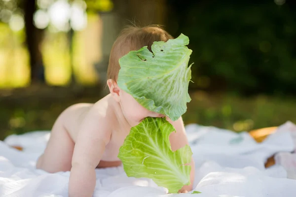 Bonito Sorrindo Engraçado Meses Idade Bebê Rastejando Jardim Segurando Folha — Fotografia de Stock
