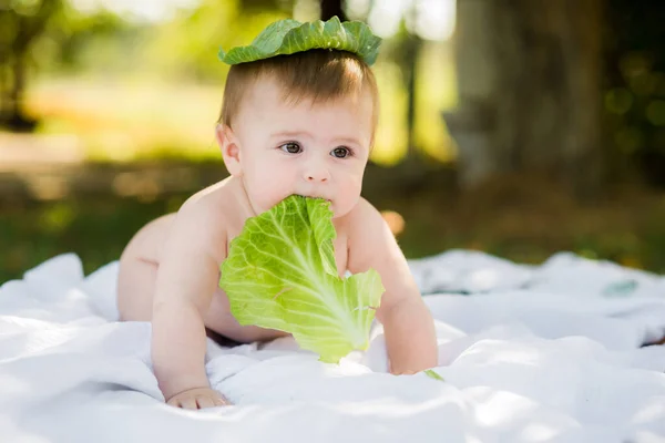 かわいい面白い笑顔6ヶ月古いです赤ちゃんクロールで庭保持キャベツの葉を身に着けている緑の葉キャップ — ストック写真