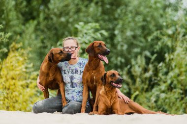 Gülümseyen kız ve üç mutlu Rhodesian Ridgeback köpeği