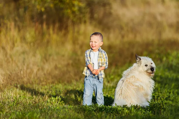 Mutlu gülümseyen sarışın çocuk çiftlikte köpek arkadaşıyla yürüyor.