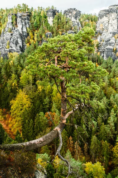 Elbe Kum Taşı Dağları 'nın resimli sonbahar manzarası, Almanya, Dresden yakınlarındaki Sakson İsviçre Ulusal Parkı