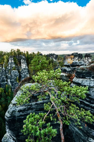 Elbe Kum Taşı Dağları 'nın resimli sonbahar manzarası, Almanya, Dresden yakınlarındaki Sakson İsviçre Ulusal Parkı
