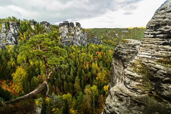 Elbe Kum Taşı Dağları 'nın resimli sonbahar manzarası, Almanya, Dresden yakınlarındaki Sakson İsviçre Ulusal Parkı