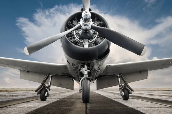 Pistteki tarihi uçak kalkışa hazır.