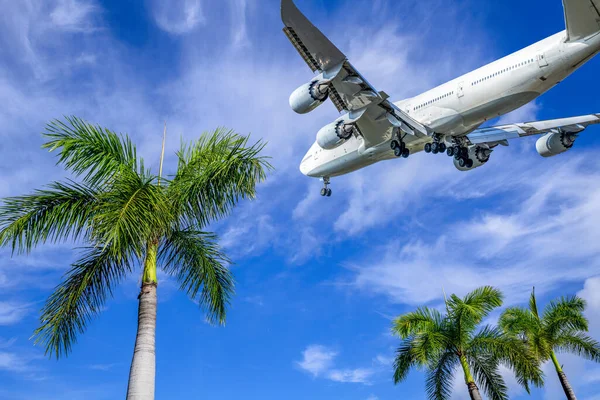 Avión Moderno Llega Por Encima Las Palmeras — Foto de Stock