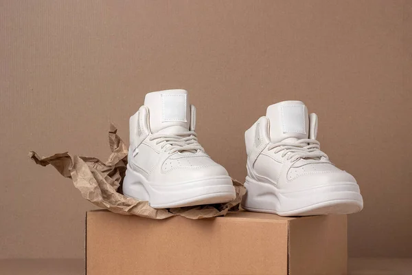 Sepatu Kulit Eco Sepasang Sepatu Krem Dengan Latar Belakang Coklat Stok Gambar Bebas Royalti