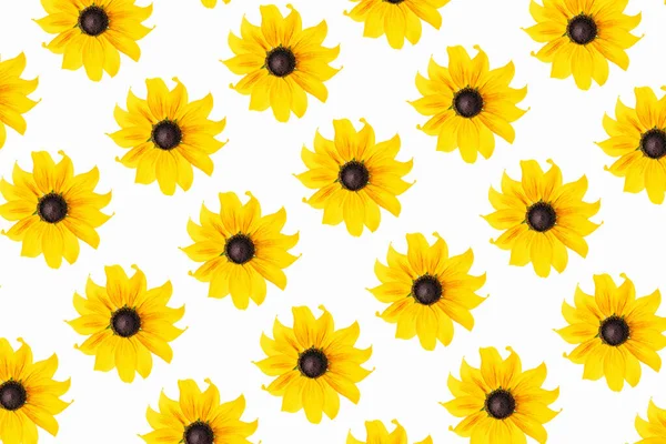Patrón Flores Amarillas Naturales Sobre Fondo Blanco Como Telón Fondo — Foto de Stock