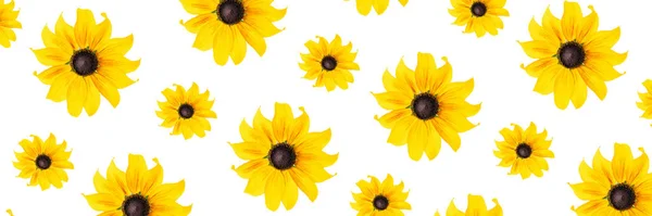 Banner Hecho Con Flores Amarillas Naturales Sobre Fondo Blanco Como Fotos de stock libres de derechos