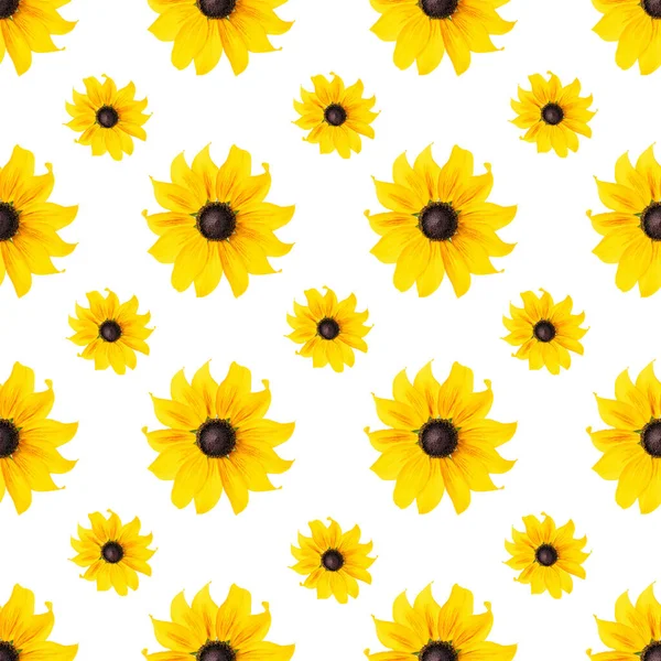 Nahtlose Natürliche Muster Natürlicher Gelber Blüten Auf Weißem Hintergrund Als Stockbild
