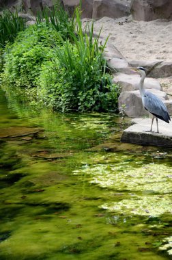 Belçika'da manzara.