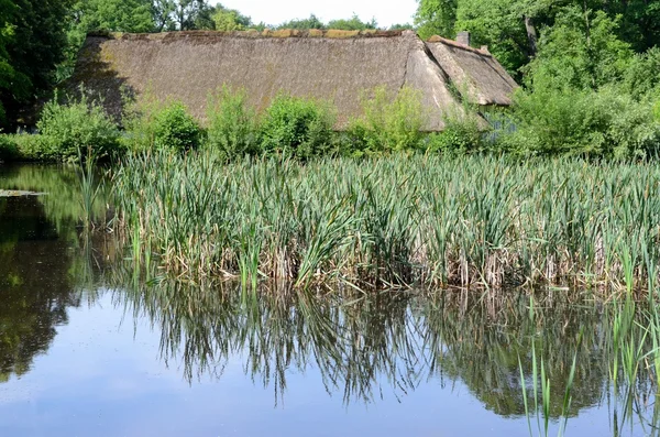 Landschaft mit Pool — Stockfoto