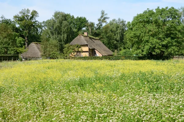 Krajobraz w Belgii — Zdjęcie stockowe