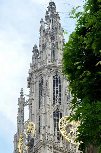 Katedralen i Antwerpen — Stockfoto