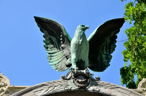 An eagle — Stock Photo, Image