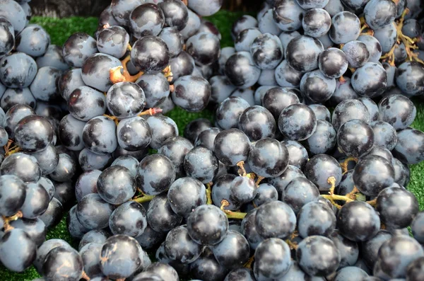 Raisins bleu foncé — Photo