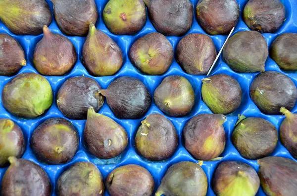 Common figs — Stock Photo, Image