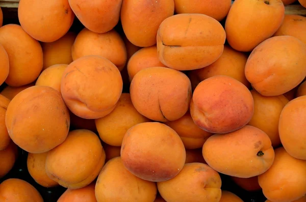 Apricots — Stock Photo, Image