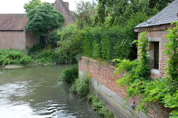 Grand béguinage — Photo