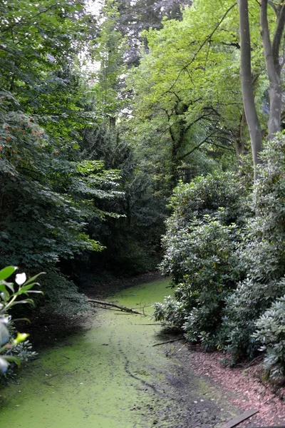 Um parque — Fotografia de Stock