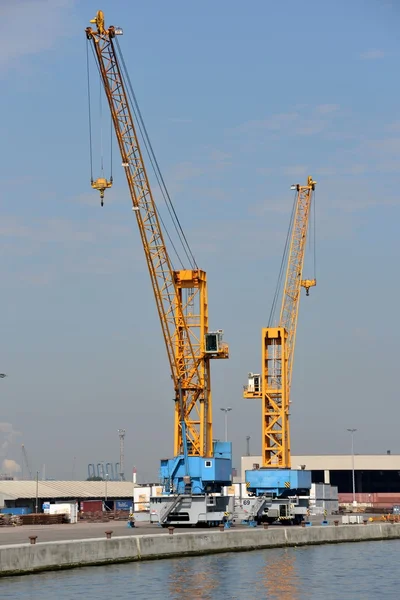 Cranes — Stock Photo, Image