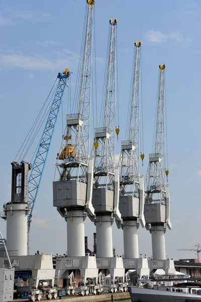 Cranes — Stock Photo, Image