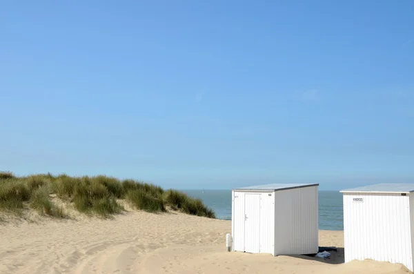 The beach — Stock Photo, Image