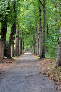 bir yol