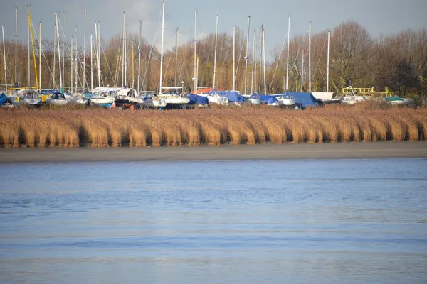 Річка "de schelde " — стокове фото