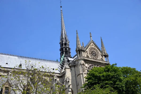 Notre Dame. — Fotografia de Stock