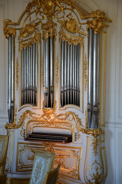 Organ — Stock Photo, Image