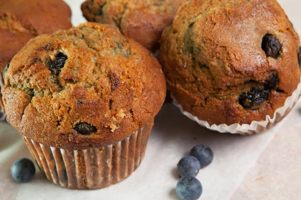 Fermer muffins aux myrtilles frais et délicieux — Photo