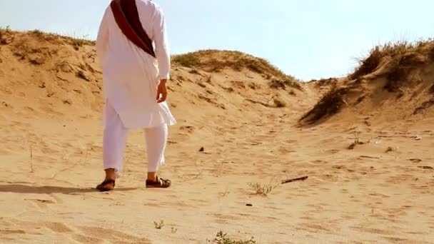 Escena del desierto mientras el hombre camina — Vídeo de stock