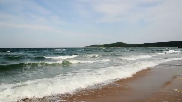 Golven op strand — Stockvideo