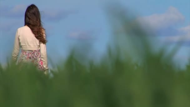 Lány séta a tavaszi magas fű — Stock videók