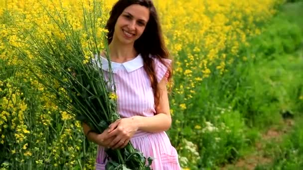 Mujer bonita vestido vintage relajante sosteniendo hierbas verano campo — Vídeo de stock
