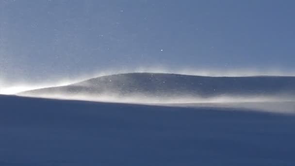 Schneewüste Treiben in den Bergen Winter Natur hd — Stockvideo