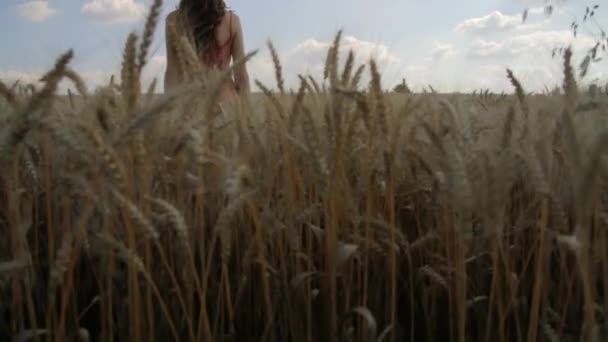Doğa güzelliği genç kadın yaz buğday alan sakin tatil — Stok video