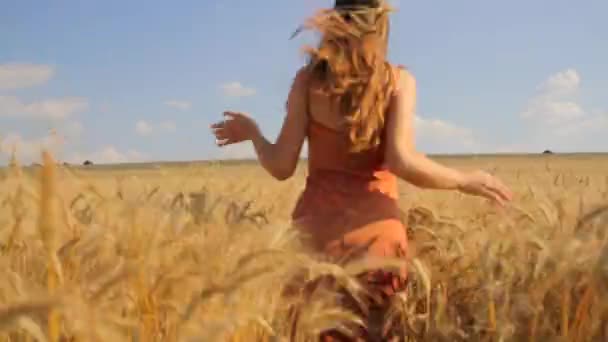 mladá krásná žena běží pšeničné pole svobody přírody koncept