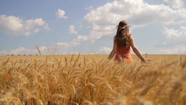 Молодая здоровая женщина поднимает руки в летнем поле пшеницы HD — стоковое видео