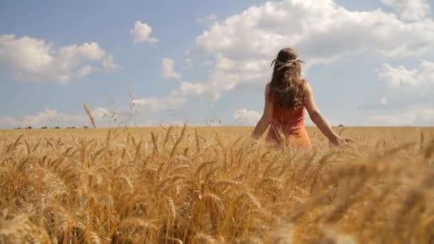 Jovem Mulher Saudável Levantando as Mãos no Campo de Trigo de Verão HD — Vídeo de Stock