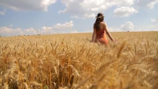 Jeune femme liberté blé champ été culte Pose religion — Video