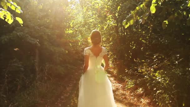 Bride Dress Nature Sunlight — Stok Video