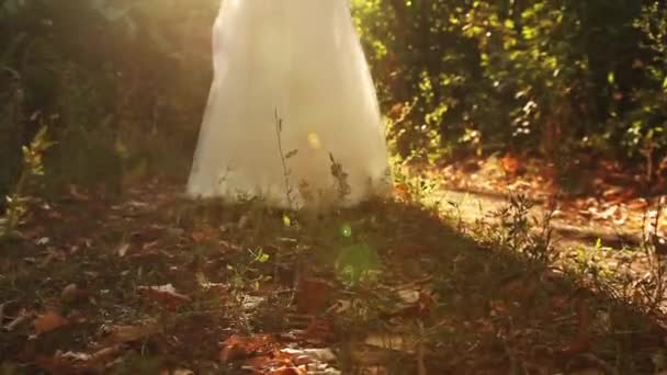 Bride Dress Nature Sunlight — Stock Video