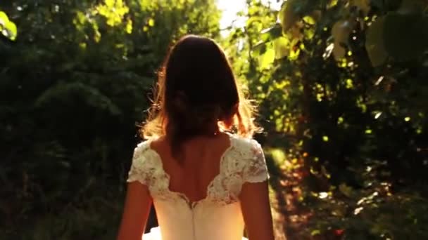 Vestido de noiva Natureza Luz solar — Vídeo de Stock