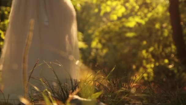 Bride Dress Nature Sunlight — Stock Video