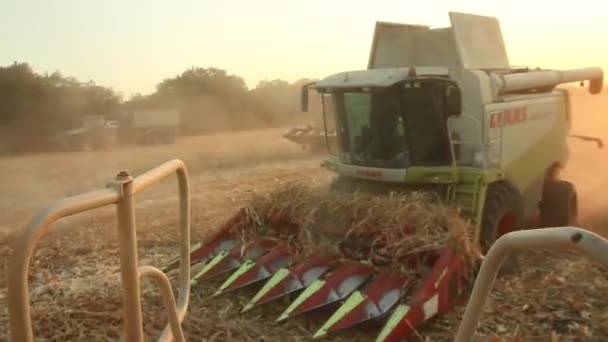 Cosechadora de campo Combinar cosecha — Vídeos de Stock