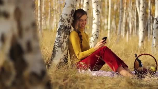 Использование мобильного телефона на пикнике — стоковое видео