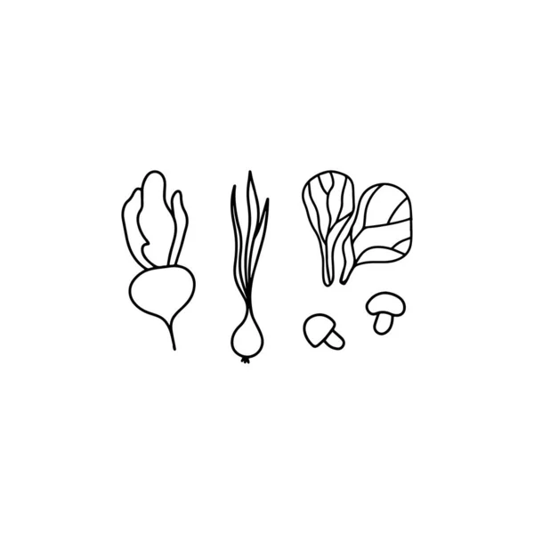 Mushrooms Onion Lettuce Beetroot Icon Hand Drawn Vector Outline Illustration — 图库矢量图片